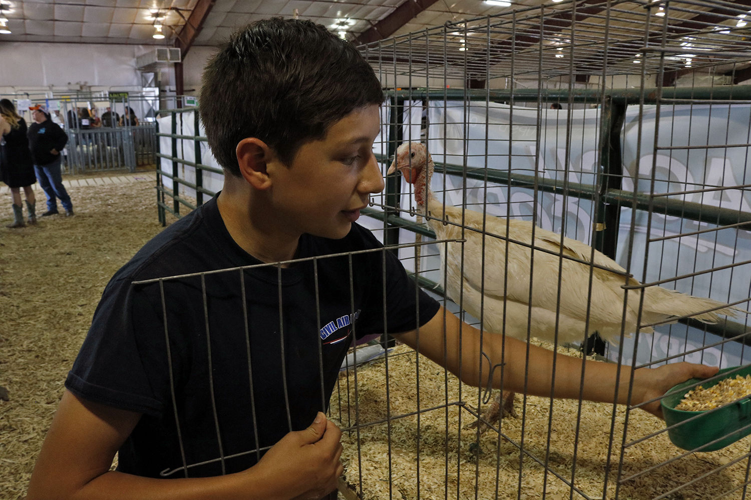 county fair 2019 Gavin Robles.jpg